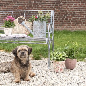 Clayre & Eef 5RO0388 Hundebett 74x57x19 cm Grau...