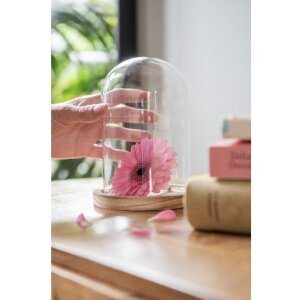 Glasglocke Clayre & Eef 6GL2168 Ø 12x17 cm...