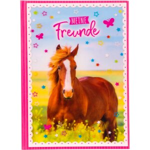 Goldbuch Freundebuch A5 Pferdeliebe 15x21 cm 88...
