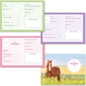 Goldbuch Freundebuch A5 Pferdeliebe 15x21 cm 88 illustrierte Seiten