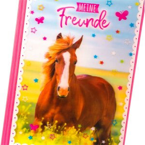 Goldbuch Freundebuch A5 Pferdeliebe 15x21 cm 88 illustrierte Seiten