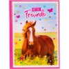 Goldbuch Freundebuch A5 Pferdeliebe 15x21 cm 88 illustrierte Seiten