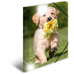Herma Sammelmappe Glossy Tiere A4 PP Hunde, Farbe:...