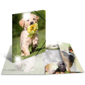 Herma Sammelmappe Glossy Tiere A4 PP Hunde, Farbe:...