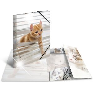 Herma Sammelmappe Glossy Tiere A3 PP Katzen