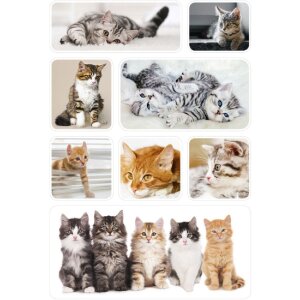 Herma DECOR Sticker Katzenkinder, weiß, 3 Blatt /...