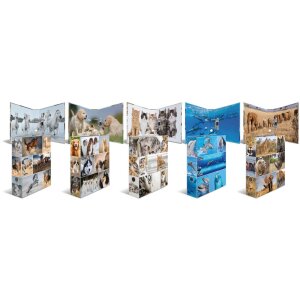 Herma Motiv-Ordner A4 Animals Delfine Karton 285x315mm 1...