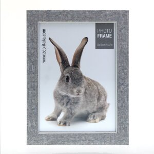 ZEP Doneck Fotorahmen 10x15 bis 30x40 cm silber 2 cm Blockprofil