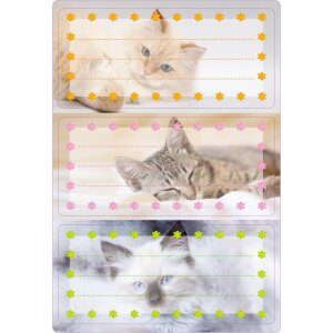 Schuletiketten Katzen, beglimmert