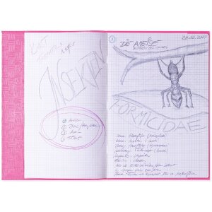 HERMA Heftschoner PP A4 gedeckt-rosa Strukturprägung...