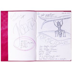 HERMA 7452 Heftschoner PP A4 gedeckt pink mit...