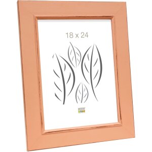 Deknudt S46FF9 Bilderrahmen alt rosa 24x30 cm