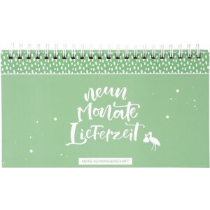 Goldbuch Schwangerschaftstagebuch Kleines Wunder, farbig...