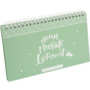 Goldbuch Schwangerschaftstagebuch Kleines Wunder, farbig...