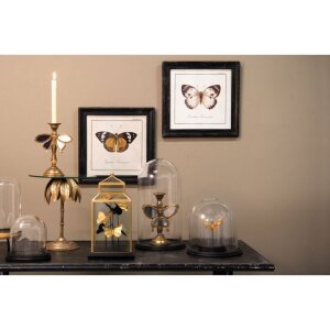 Clayre & Eef 6GL2488 Borcan clopot din sticlă lemn maro 17x14x18 cm