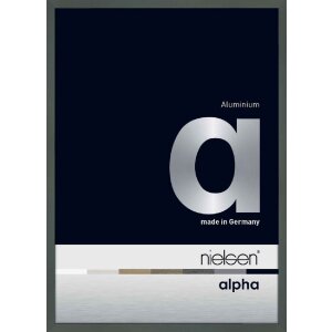Nielsen aluminiu cadru Alpha 42x59.4 cm gri închis lucios