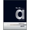 Nielsen Alpha aluminiu cadru 70x90 cm platină