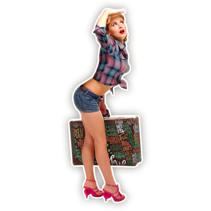 Semn de staniu LUGGAGE 30x80x0.4 cm