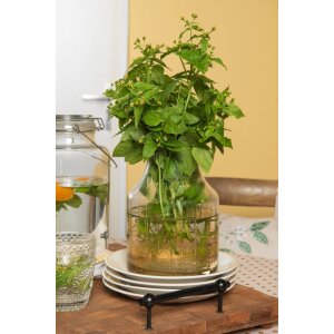 Vaza Ø 14x20 cm Clayre & Eef 6GL2797