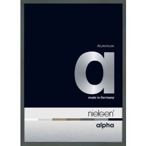Nielsen aluminiu cadru Alpha TCSC 21x30 cm periat chihlimbar