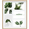Galerie foto S46WG natură 5 fotografii 10x15 cm