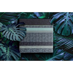 Walther Einsteckalbum Pheline für 40 bis 200 Fotos 10x15 cm 13x18 cm