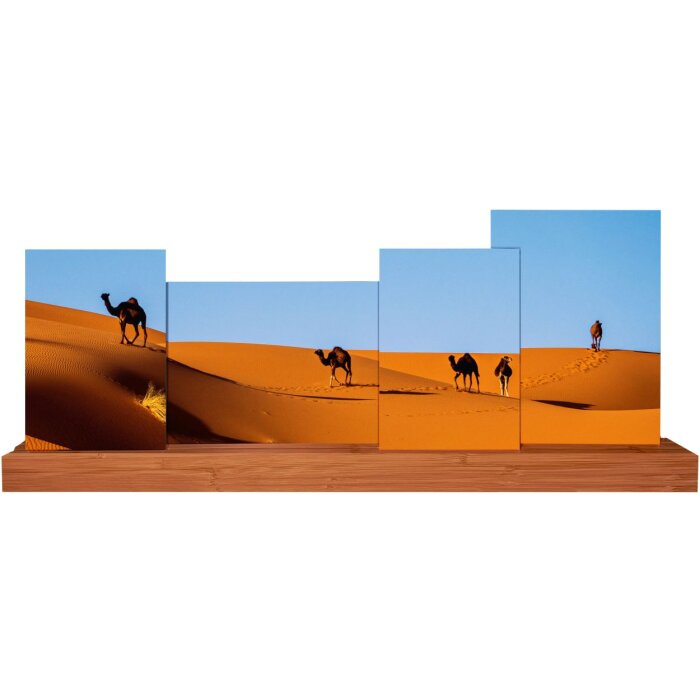 Galerie foto Bamboo 4 fotografii