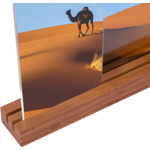 Galerie foto Bamboo 4 fotografii