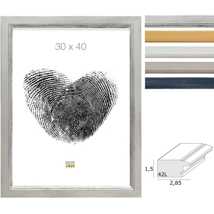 Deknudt Holzrahmen S42L mit Premiumglas