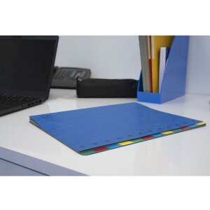Exacompta Ordnungsmappe 12-teilig A4 Harmonika blau