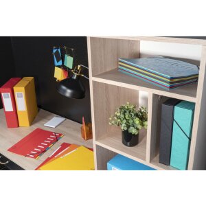 Exacompta Ordnungsmappe HARMONIKA Gummizug Colorspan 12 Fächer DIN A4 Schwarz