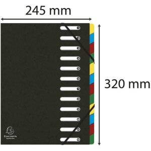 Exacompta Ordnungsmappe HARMONIKA Gummizug Colorspan 12 Fächer DIN A4 Schwarz