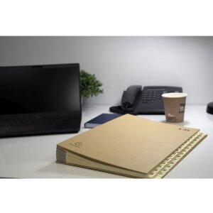 Exacompta Ordnungsmappe 31 Fächer 1-31 DIN A4 Kraft braun