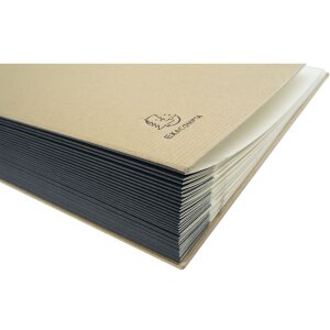 Exacompta Ordnungsmappe 31 Fächer 1-31 DIN A4 Kraft braun