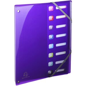 Exacompta Ordnungsmappe dehnbarer Rücken 8 Fächer DIN A4 Iderama sortiert