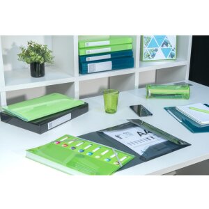 Exacompta Ordnungsmappe dehnbarer Rücken 8 Fächer DIN A4 Iderama sortiert