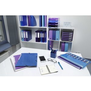 Exacompta Ordnungsmappe dehnbarer Rücken 8 Fächer DIN A4 Iderama sortiert