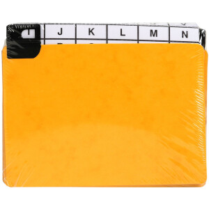 Exacompta 13752E 24 Trennblätter Fensterreiter...