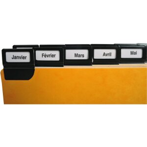 Exacompta 13752E – 24 fețe de separare cu etichete cu fereastră din metal, 105x148 mm, alfabetic