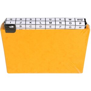 Exacompta 13758E 24 Trennblätter mit Fensterreitern...