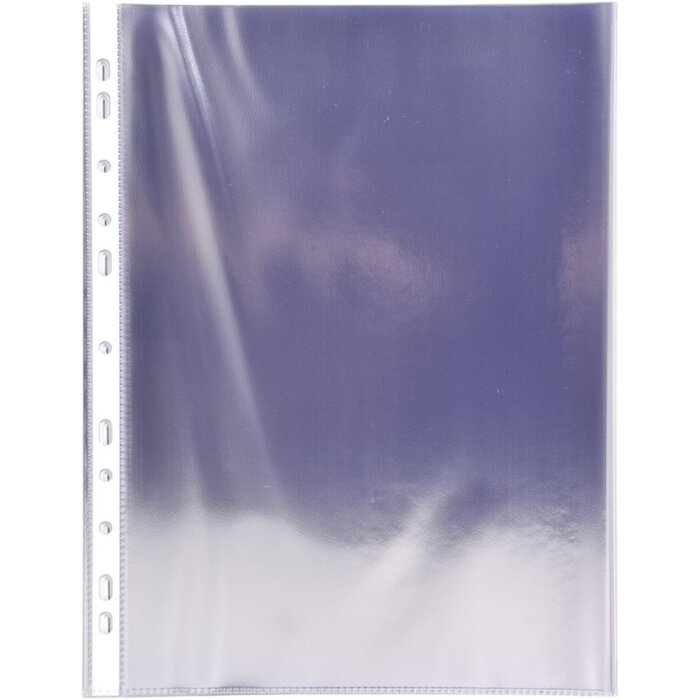 Exacompta – 100 huse pentru broșuri perforate DIN A4 vertical, PVC lucios 80µ