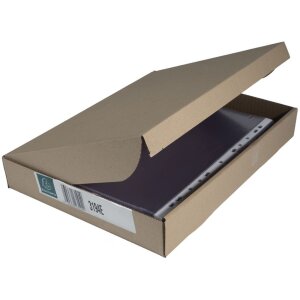 Exacompta – 100 huse pentru broșuri perforate DIN A4 vertical, PVC lucios 80µ