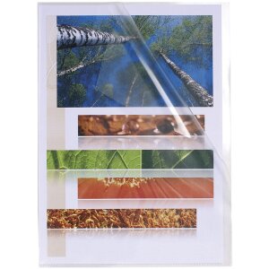 Exacompta Pachet 100 Folii Protecție Documente A4 Cristal PP 120µ