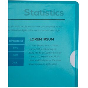 Exacompta Mape cu folie de protecție, 100 buc, A4, Verde