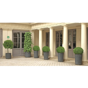 Exacompta Klebeschild Sammelplatz 20 cm