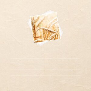 ZEP Album Foto Împărtășanie XV - 24x24 cm, 24 Pagini