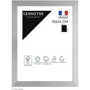 Ceanothe Bilderrahmen Precious 18x24 cm silber