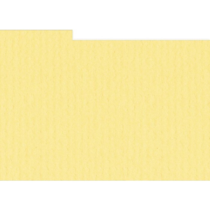 HNFD 10 carduri separatoare pentru cutii foto 15x20 cm - Giallo