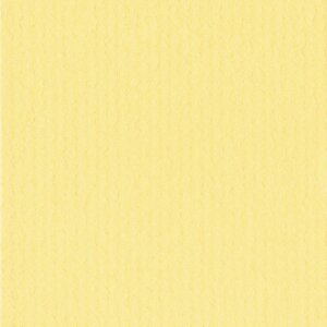 HNFD 10 carduri separatoare pentru cutii foto 15x20 cm - Giallo