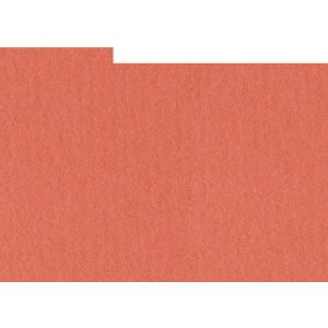 HNFD 10 carduri de divizare cutie foto 15x20 cm Corallo